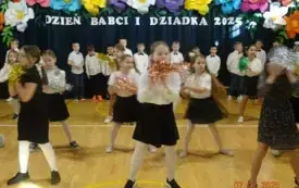 dzb41