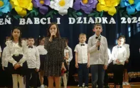 dzb37