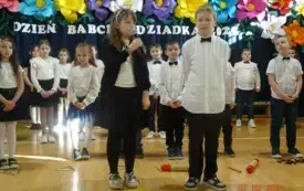 dzb02