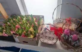 Dzień Babci i Dziadka 28