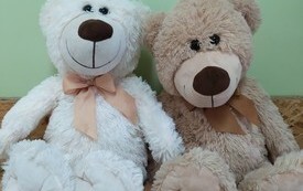 Dzień Pluszowego Misia w przedszkolu 29.11 27