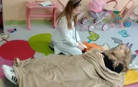 Kicia Kocia uczy, jak dbać o zdrowie 13