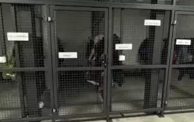 Dzień Języka Ojczystego w Publicznej Szkole Podstawowej w Łomnie 1