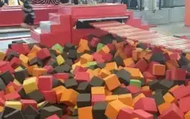 20250306_110626