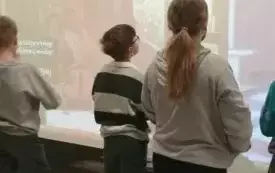 20250306_093711