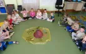 Zapoznanie z prehistorycznymi gadami 8