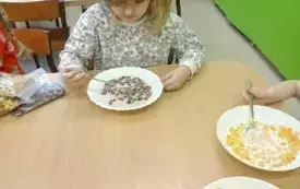 IMG20250313115552