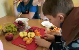 Wiosna 25 Dąbrowa 1