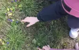  Kreatywność i Zabawa! 13