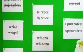 ,,A niechaj narodowie wżdy postronni znają, iż Polacy nie gęsi, iż sw&oacute;j język mają&rsquo;&rsquo; 1