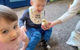 1744742186749