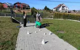 Wiosenno-wielkanocna gra terenowa w PSP Jadowniki 3