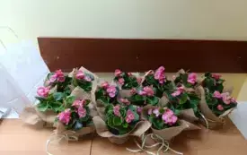 Galeria aktualności Gminny Konkurs Ekologiczny w Szerzawach z okazji Dnia Ziemi 12