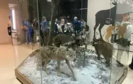 Wsp&oacute;lne świętowanie w duchu ekologii 19