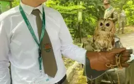 Wsp&oacute;lne świętowanie w duchu ekologii 24