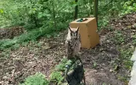 Wsp&oacute;lne świętowanie w duchu ekologii 25