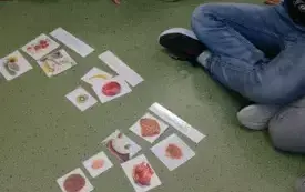 Warsztaty kulinarne 4
