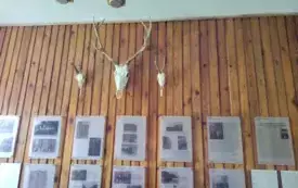 Wycieczka do lasu- sadzenie dęb&oacute;w. 1