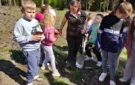 Wycieczka do lasu- sadzenie dęb&oacute;w. 8