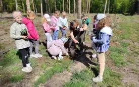 Wycieczka do lasu- sadzenie dęb&oacute;w. 9