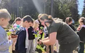 Wycieczka do lasu- sadzenie dęb&oacute;w. 13