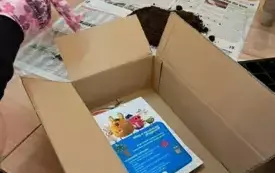 Warsztaty z dietetykiem 30