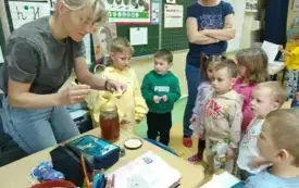 Z wizytą w świecie pszcz&oacute;ł &ndash; pasjonujące spotkanie w przedszkolu w Chybicach 3