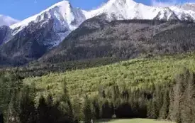 20250520_083500