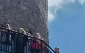 Wycieczka do Iłży i Nadleśnictwa Marcule 16