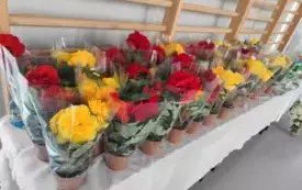 Piknik Rodzinny 6