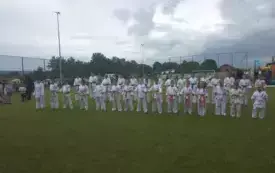 gIhiTQrF