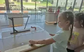 505471039_24408386562092066_9003153569885034583_n