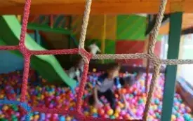 Wycieczka do ZOO &bdquo;Leśne Zacisze&rdquo; &ndash; grupa 0a i 0b z Chybic 15