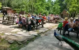 Wycieczka do ZOO &bdquo;Leśne Zacisze&rdquo; &ndash; grupa 0a i 0b z Chybic 33