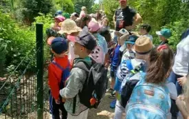 Wycieczka do ZOO &bdquo;Leśne Zacisze&rdquo; &ndash; grupa 0a i 0b z Chybic 42