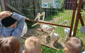 Wycieczka do ZOO &bdquo;Leśne Zacisze&rdquo; &ndash; grupa 0a i 0b z Chybic 52