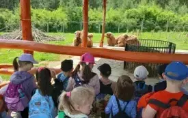 Wycieczka do ZOO &bdquo;Leśne Zacisze&rdquo; &ndash; grupa 0a i 0b z Chybic 55