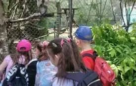 Wycieczka do ZOO &bdquo;Leśne Zacisze&rdquo; &ndash; grupa 0a i 0b z Chybic 65