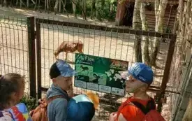 Wycieczka do ZOO &bdquo;Leśne Zacisze&rdquo; &ndash; grupa 0a i 0b z Chybic 79
