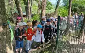 Wycieczka do ZOO &bdquo;Leśne Zacisze&rdquo; &ndash; grupa 0a i 0b z Chybic 88