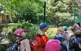 Wycieczka do ZOO &bdquo;Leśne Zacisze&rdquo; &ndash; grupa 0a i 0b z Chybic 95