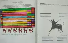 Podsumowanie projektu czytelniczego w klasie III B- PSP Chybice 7