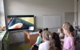 Zbi&oacute;rka elektrośmieci 4