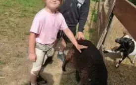 Wycieczka do Rogatego Rancza w Bodzechowie - niezapomniana przygoda przedszkolak&oacute;w z PSP w Godowie 8
