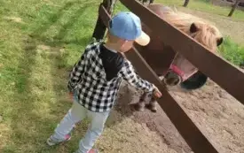 Wycieczka do Rogatego Rancza w Bodzechowie - niezapomniana przygoda przedszkolak&oacute;w z PSP w Godowie 20
