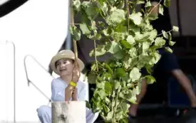 Galeria aktualności XXV Jubileuszowe Dni Pawłowa 2025 156