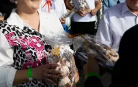 Galeria aktualności XXV Jubileuszowe Dni Pawłowa 2025 184