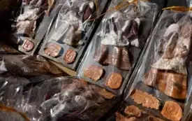 Galeria aktualności XXV Jubileuszowe Dni Pawłowa 2025 203