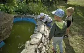 Podsumowanie wakacyjnych dyżur&oacute;w w przedszkolu w Chybicach 5