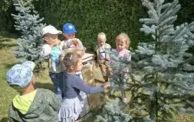 Podsumowanie wakacyjnych dyżur&oacute;w w przedszkolu w Chybicach 23